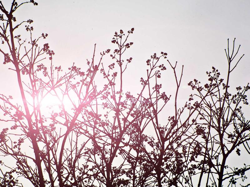 contact screenshot 4