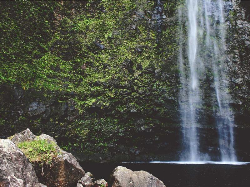 sudoku mental exercise screenshot 2