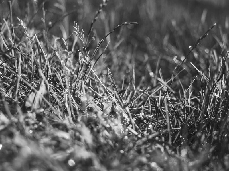 android screenshot 5